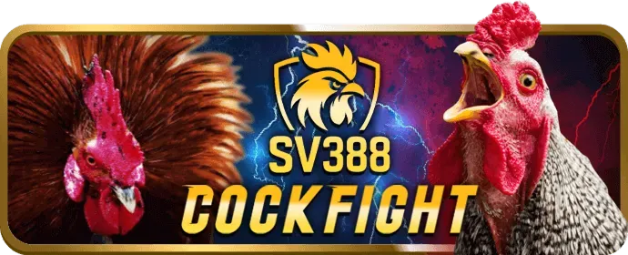 Dealer người thật tại live casino vwin88 nhà cái